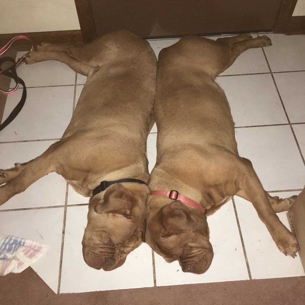 Meet your Posher, MaryBeth